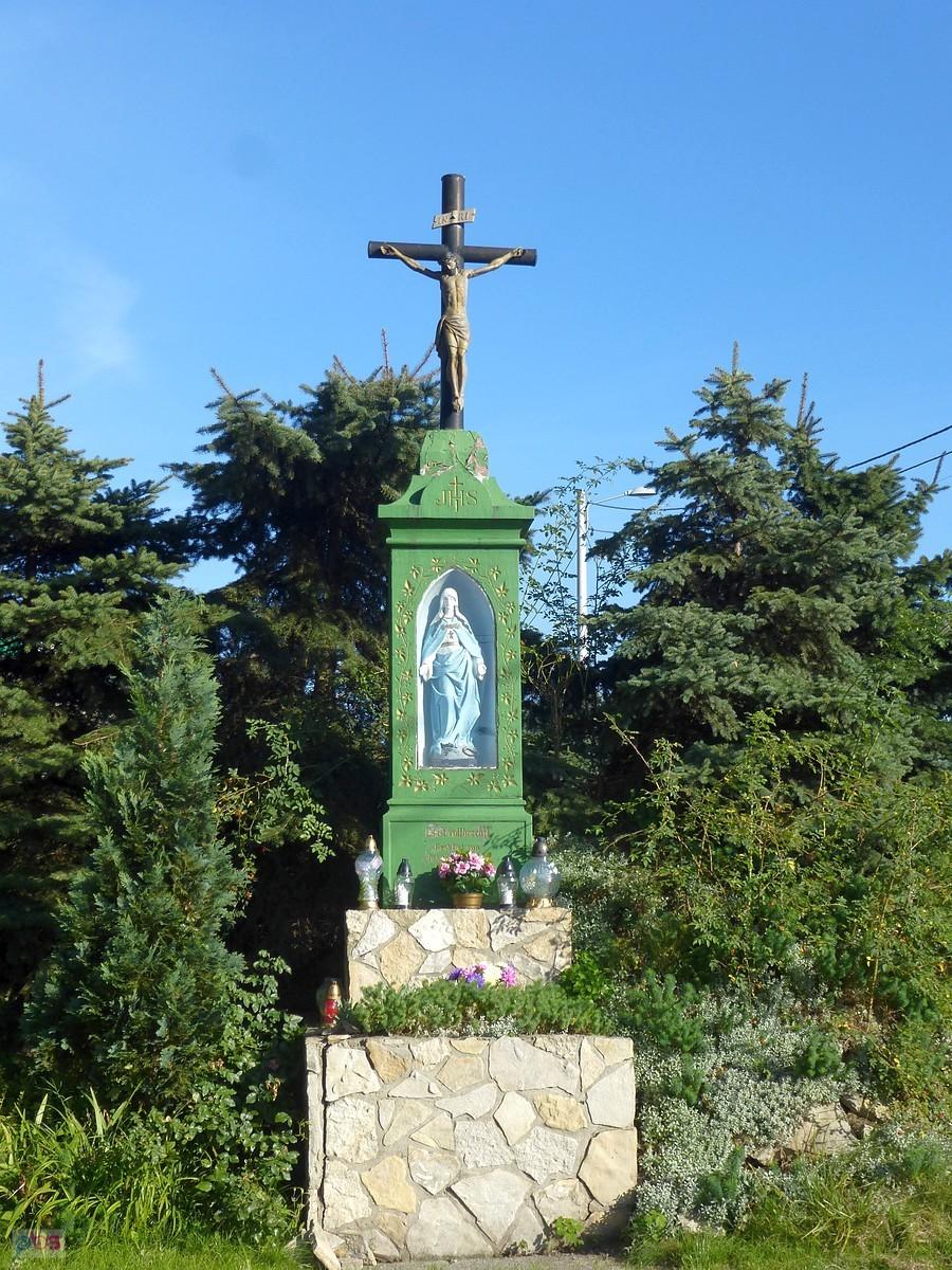 Kiedyś tu był cmentarz choleryczny