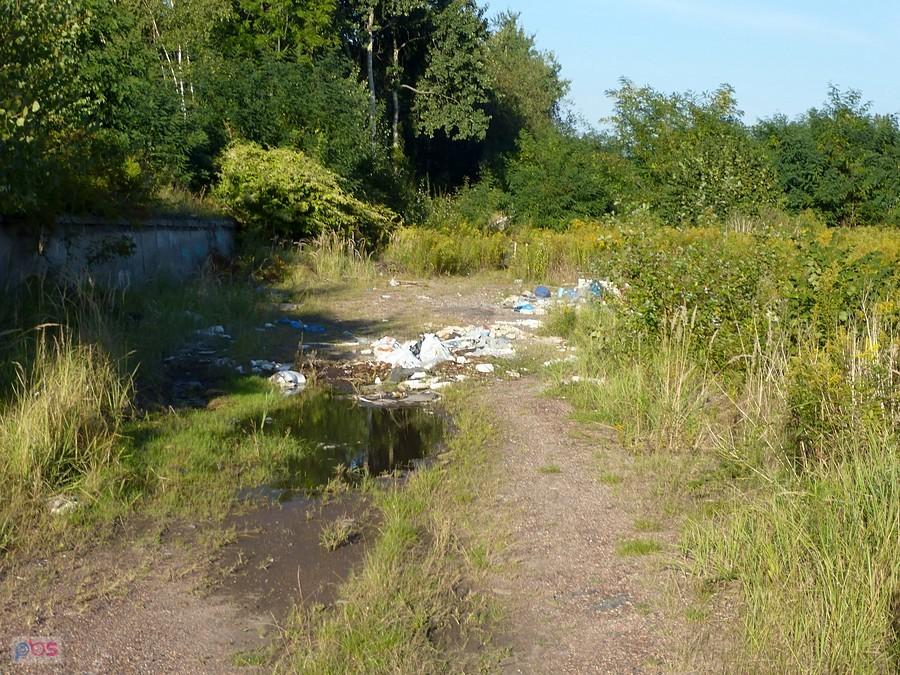 Domów brak, a śmieci są