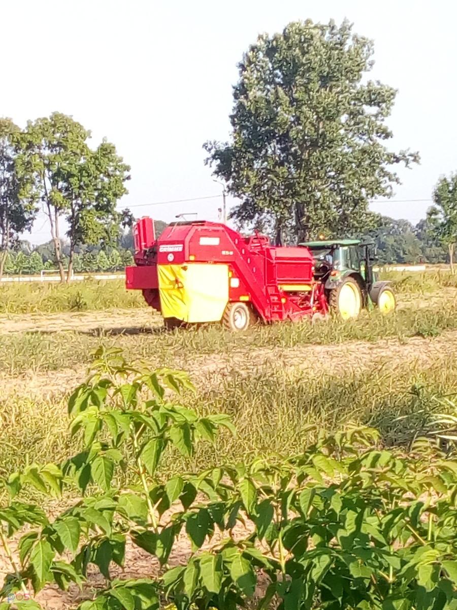 Kombajn ziemniaczany