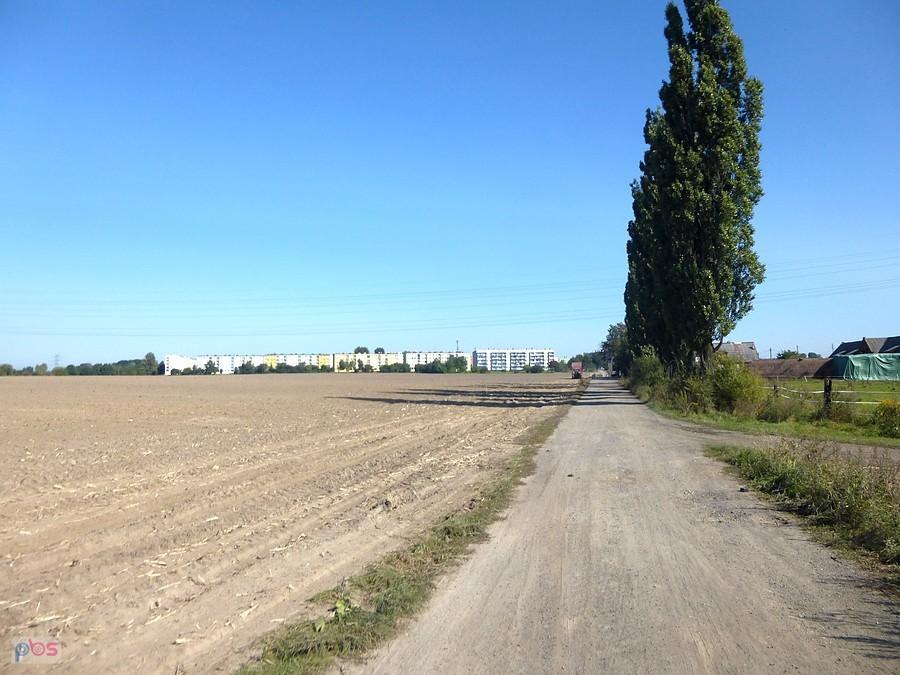 Widok na Rokitnicę z Grabowca
