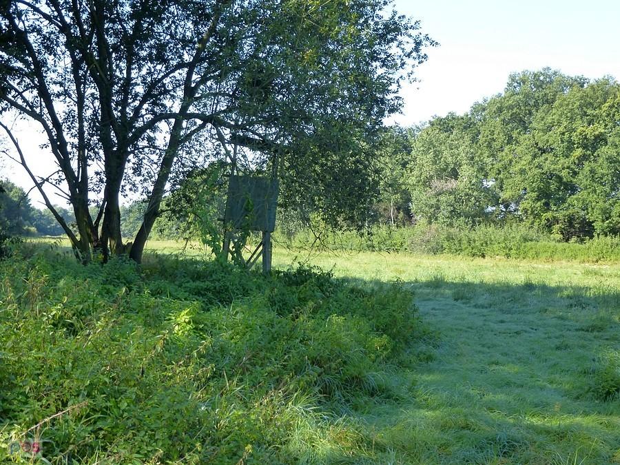 Mokro tu było