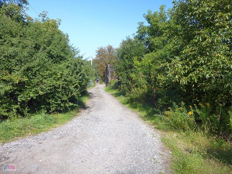 Gorzawskiego w Zabrzu