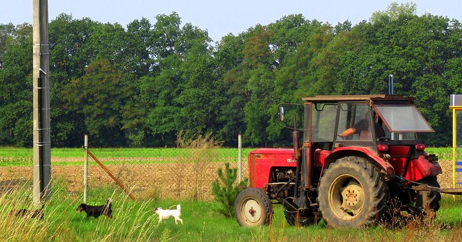 Ciągnik ciągnięty przez trzy czworonogi :)
