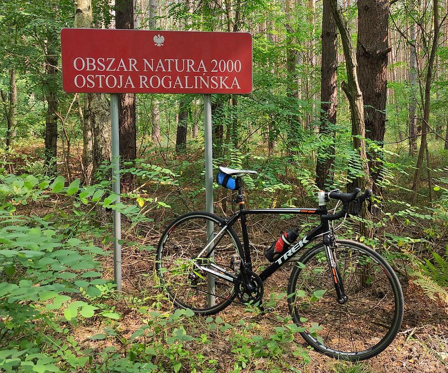 Natura 2000 i pojazd ekologiczny