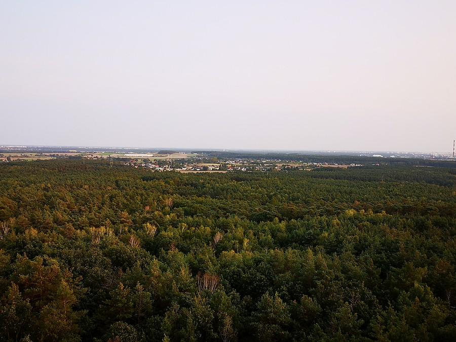Widok z Dziewiczej Góry