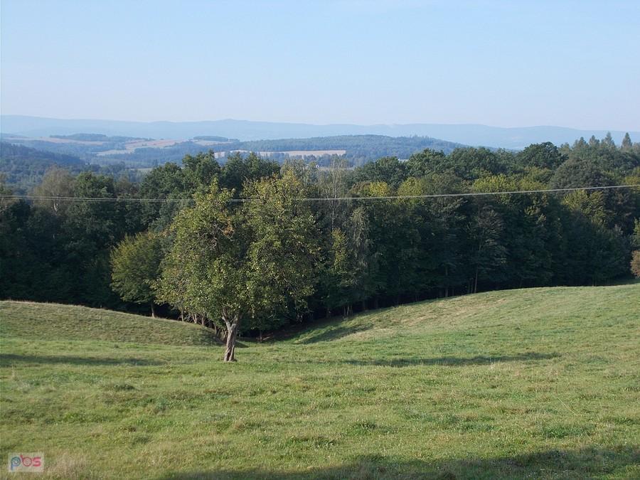 Panorama na Karkonosze