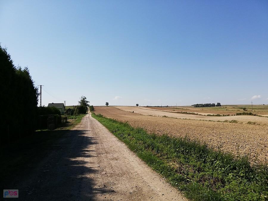 Drogi i widoki to dziś dominowało