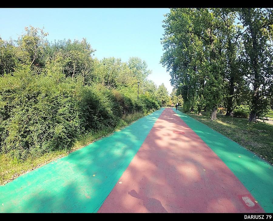 Park Śląski w Chorzowie
