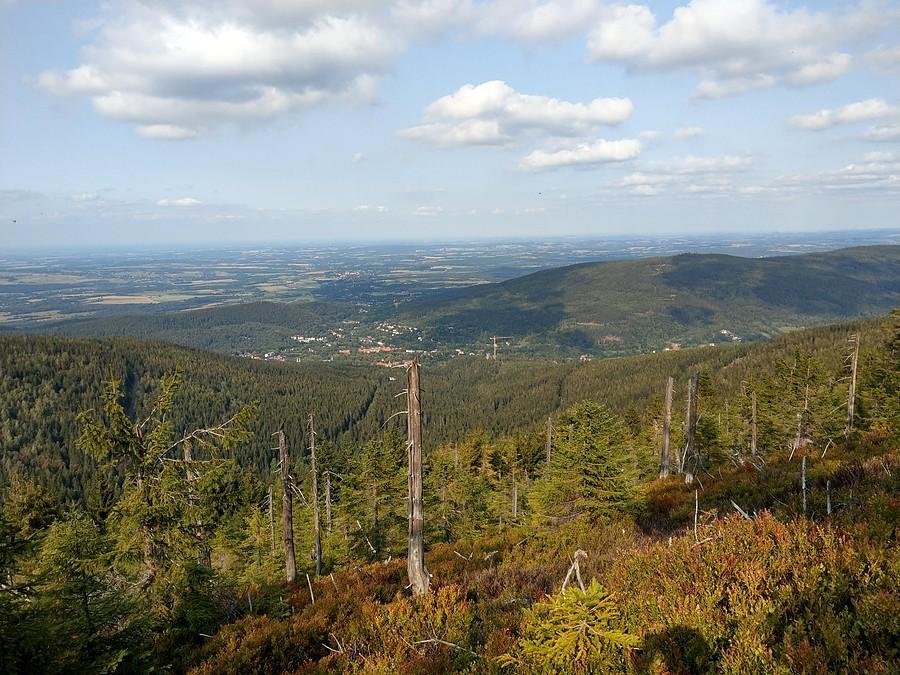 Widoczek IV