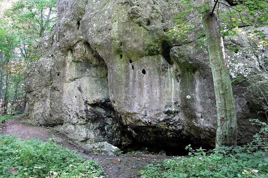 Skała w Wąwozie Podskalańskim