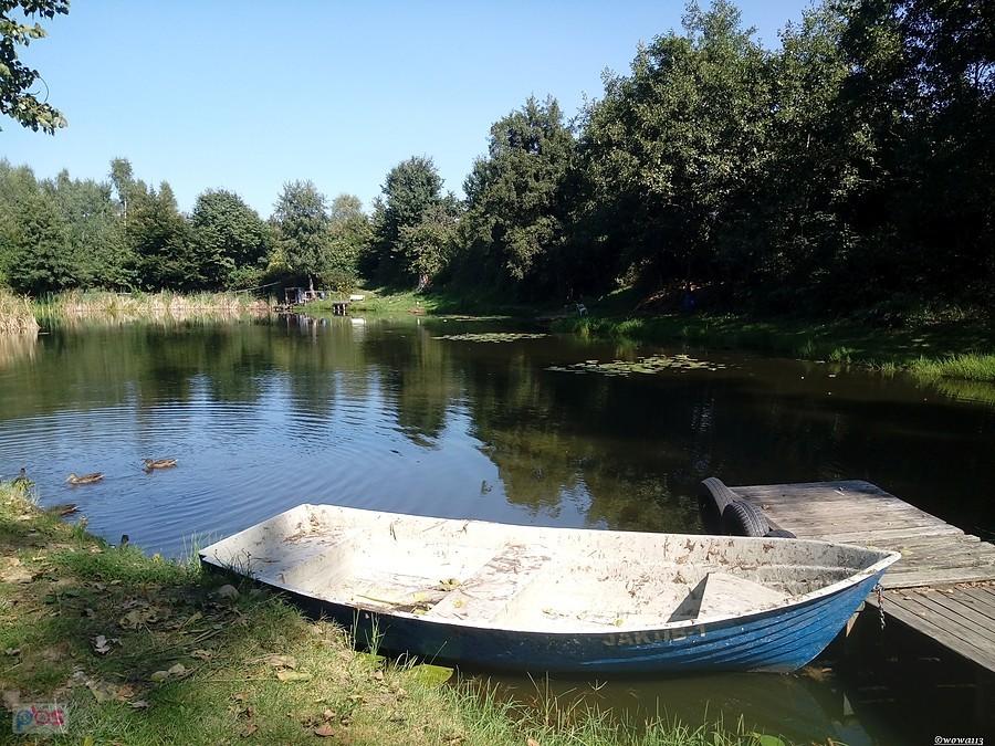 Zarzekała się żaba błota... Gadułce się podobało. Staw Cegielnia