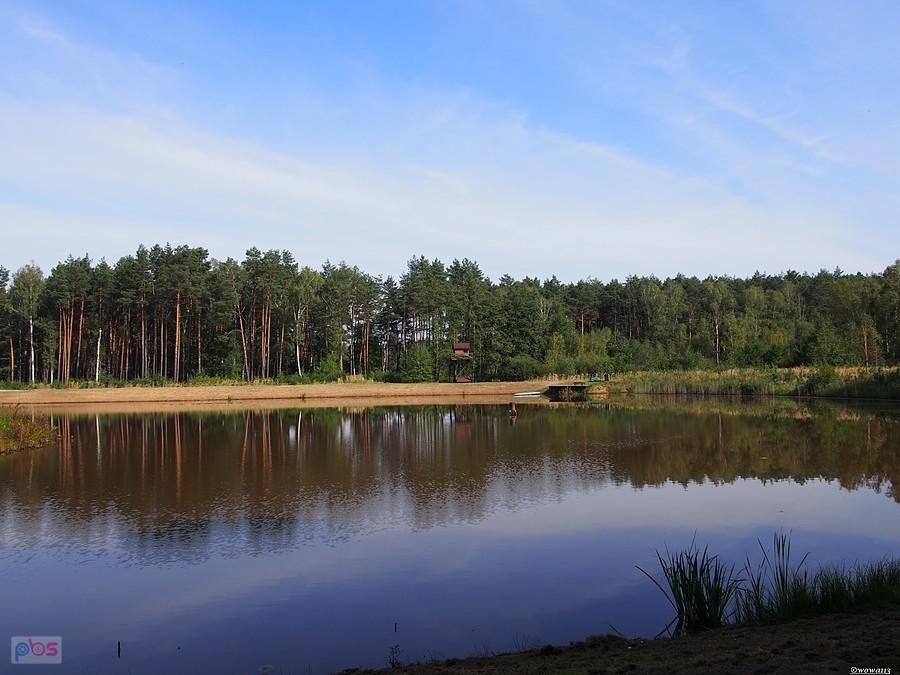 Staw hodowlany w Czarkowie