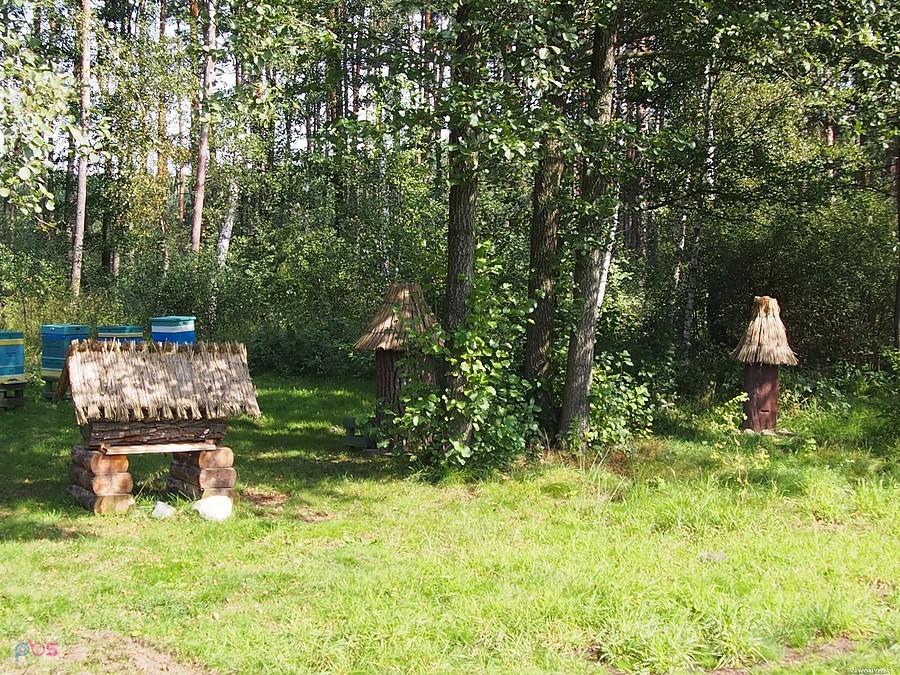Leśna pasieka