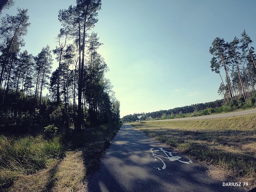 Sielpia Wielka - Szlak Green Velo wzdłuż drogi krajowej 728