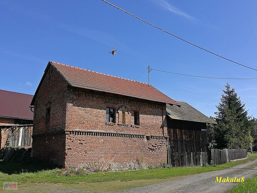 Stodółka w Starym Oleśnie