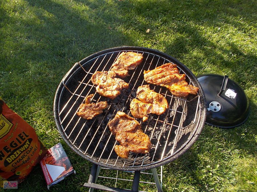 Grill na działce Dareckiego