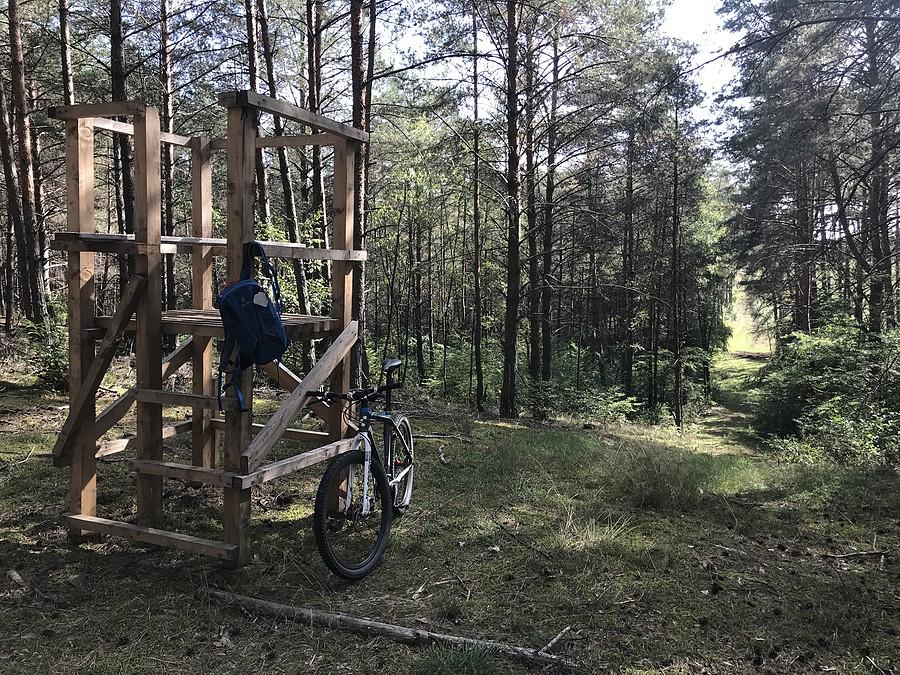 okolice Walkowic / wąwozy