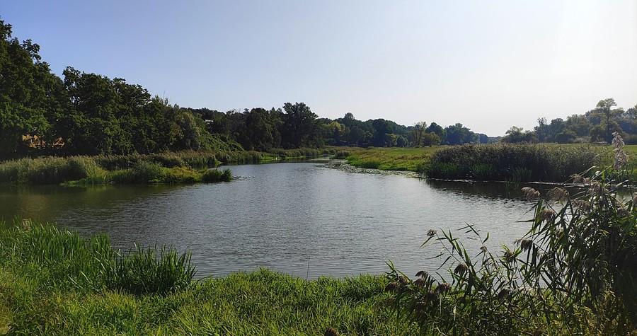 Zakole Warty, Port Radzewice
