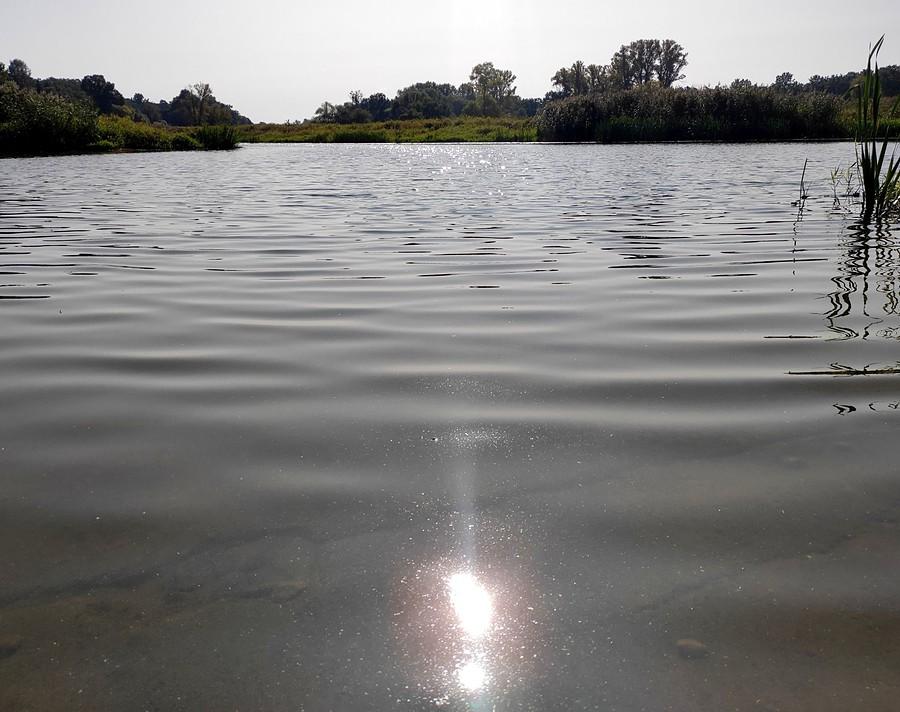 Spojrzenie znad wody, Port Radzewice