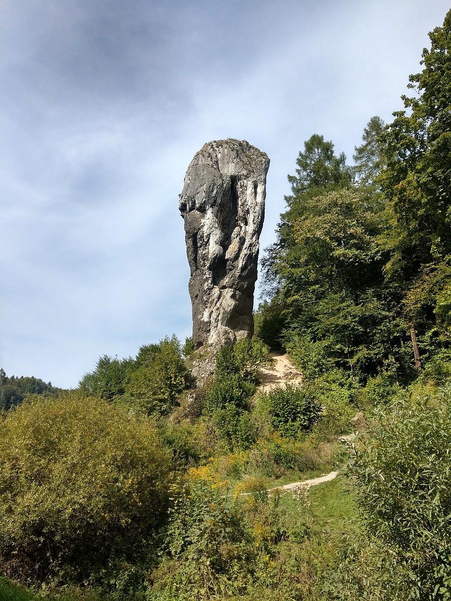 Maczuga Herkulesa