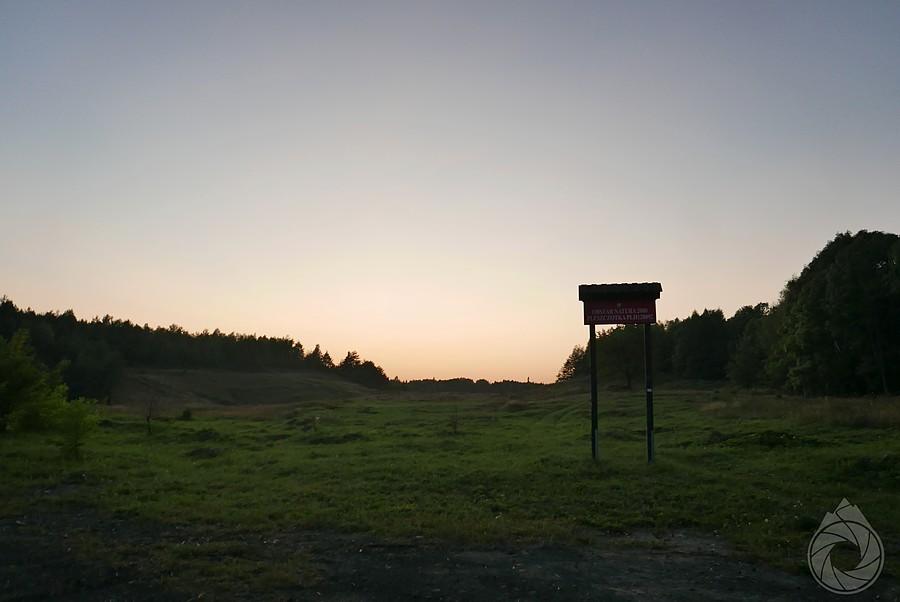 łąki i murawy galmanowe Pleszczotki