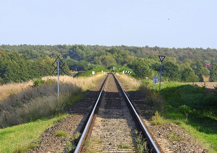 Spojrzenie na horyzont linii kolejowej Poznań - Wolsztyn
