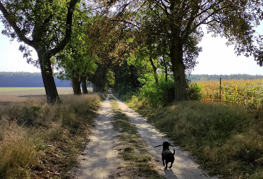 Radośnie przez Wielkopolski Park Narodowy
