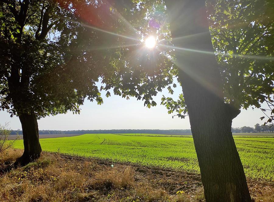 Wrzesień na polach wokół WPN-u