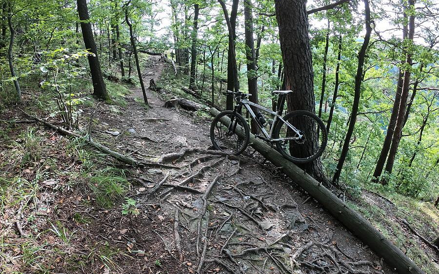 Zacny do MTB fragment niebieskiego na Kazalnicę (432m)