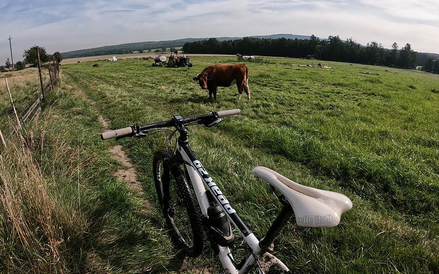 Okazało się że jadę czerwonym nie w tym kierunku