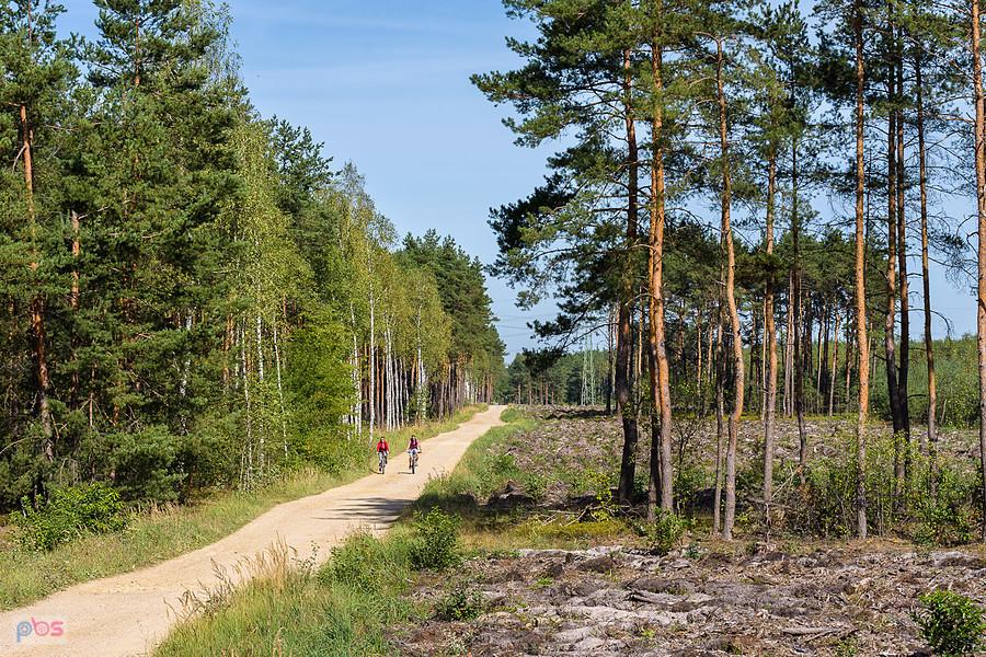 Droga pożarowa na wysokości stacji towarowej Częstochowa Mirów, tędy czekała mnie jeszcze nocna jazda.