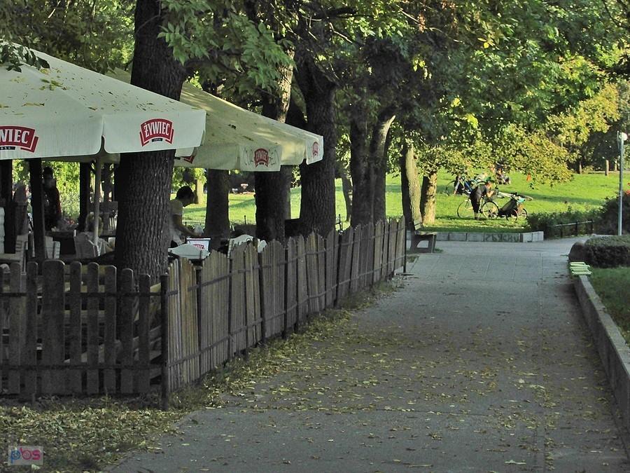 Knajpka na Polu Mokotowskim