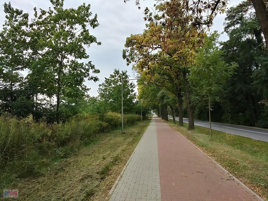 To już jesień
