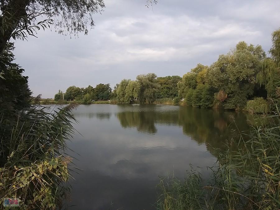 Staw w Zielonkach