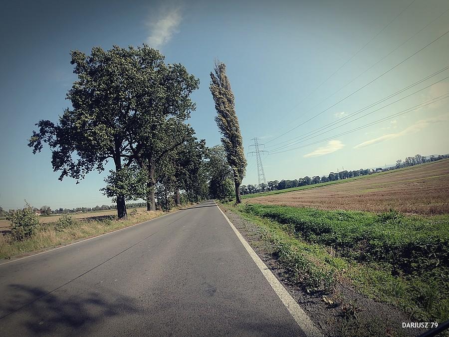 Drogomyśl