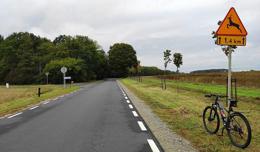 Przy drodze do Dopiewa
