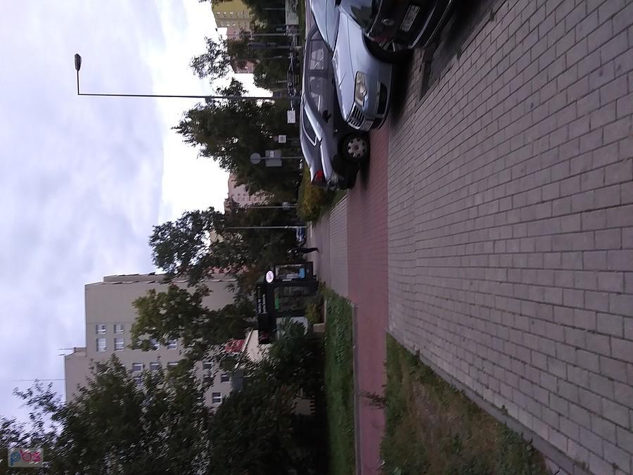 Na Jelonkach