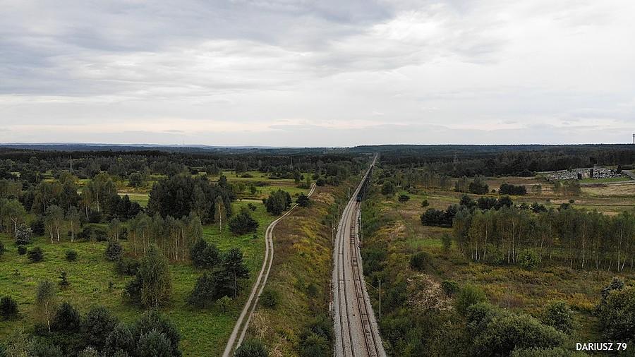 Tucznawa