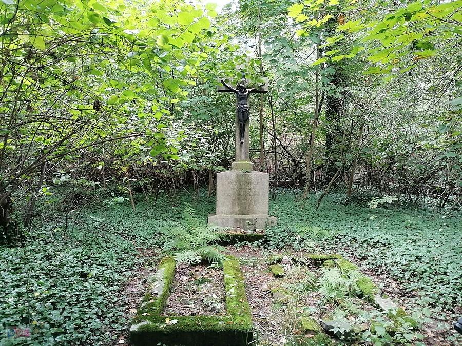 Tajemniczy cmentarzyk w Kamieńcu