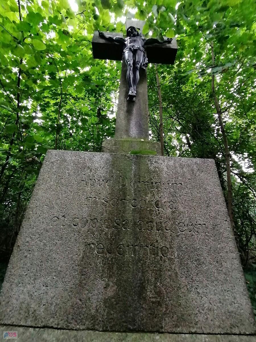"Apud Dominum misericordia, et copiosa apud eum redemptio" czyli "U Pana bowiem jest łaskawość i obfite u Niego odkupienie".