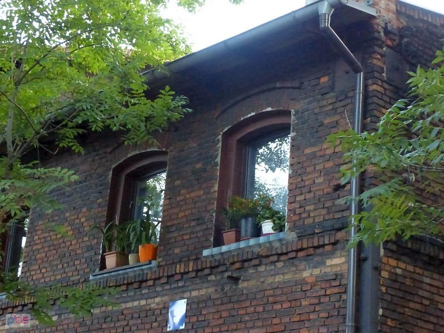 Niebezpieczne doniczki