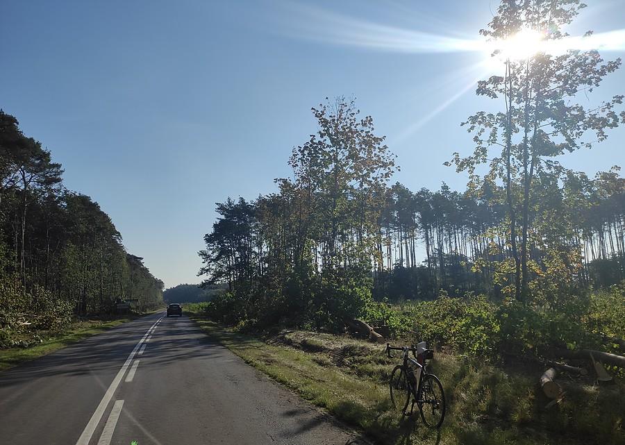Kolejna wycinka autorstwa Nadleśnictwa Babki :/