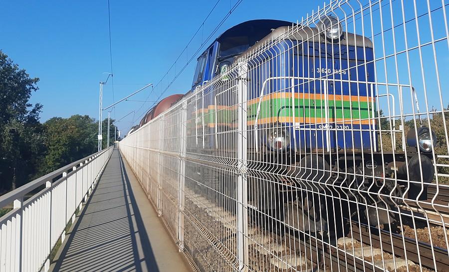 Znów oko w oko. A nawet trzy :)