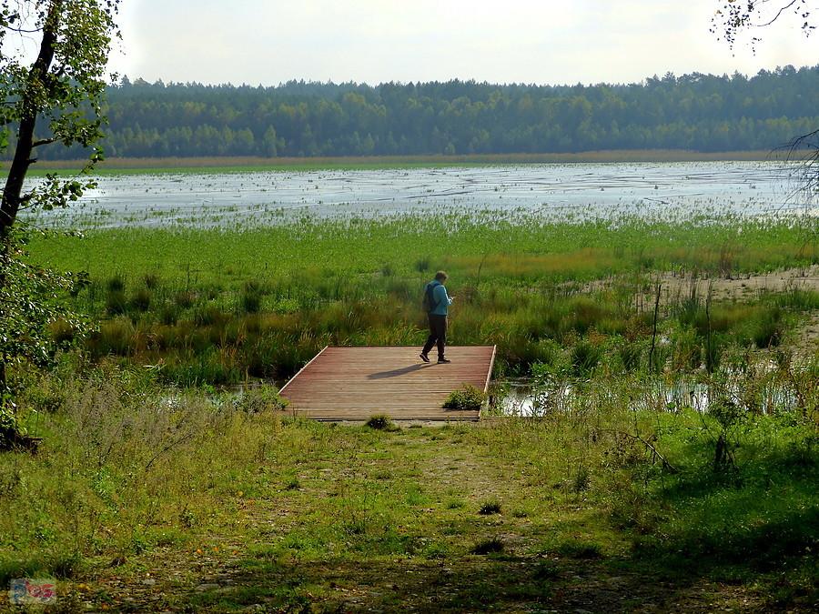 Kuba nad jeziorem Piaski.