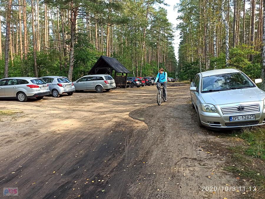Kuba wśród aut grzybiarzy.