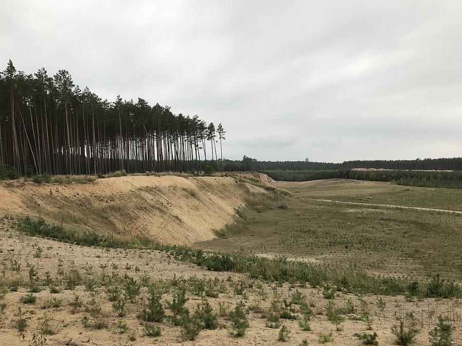 tereny żwirowni Walkowice