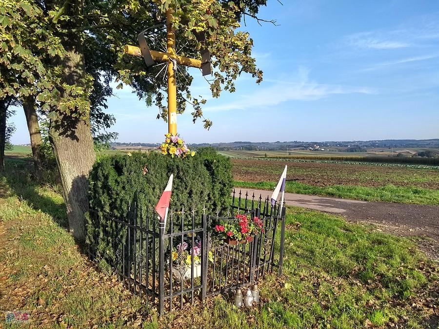 Przed krakowskie pola