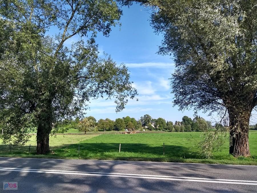 Szosa Proszowice - Słomniki