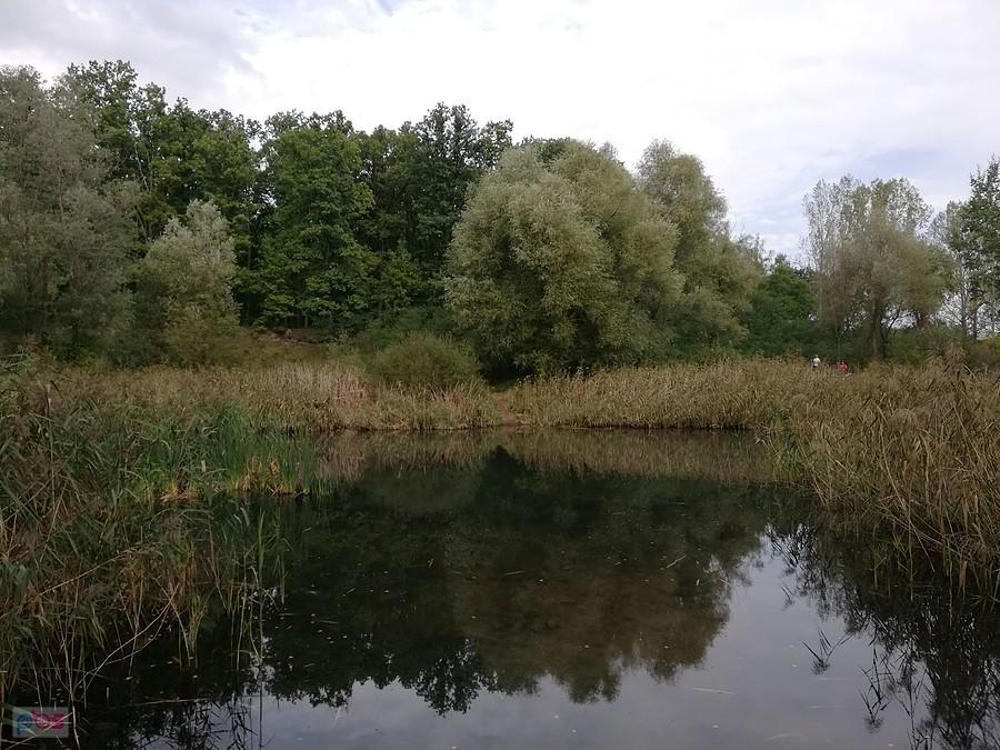 Żwirownia na Wyskokach