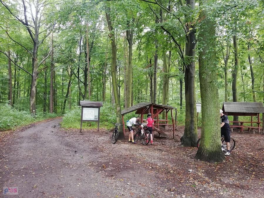 Słychać burzę. Decyzja jest jedna - Do domu.